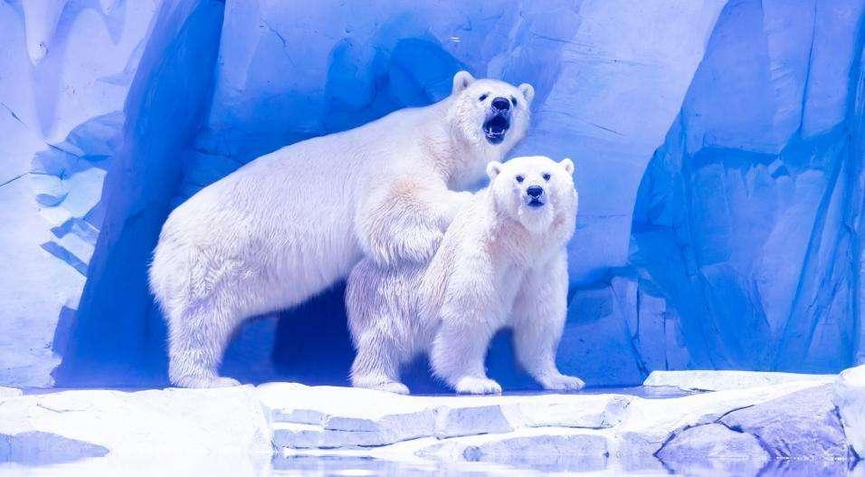 海昌海洋公园出去了还能再进去吗,海昌海洋公园郑州进去不能带什么