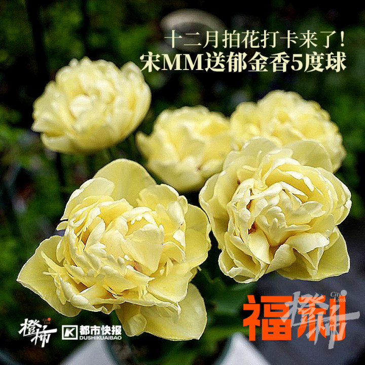 文创礼物2024,文创礼品福利品