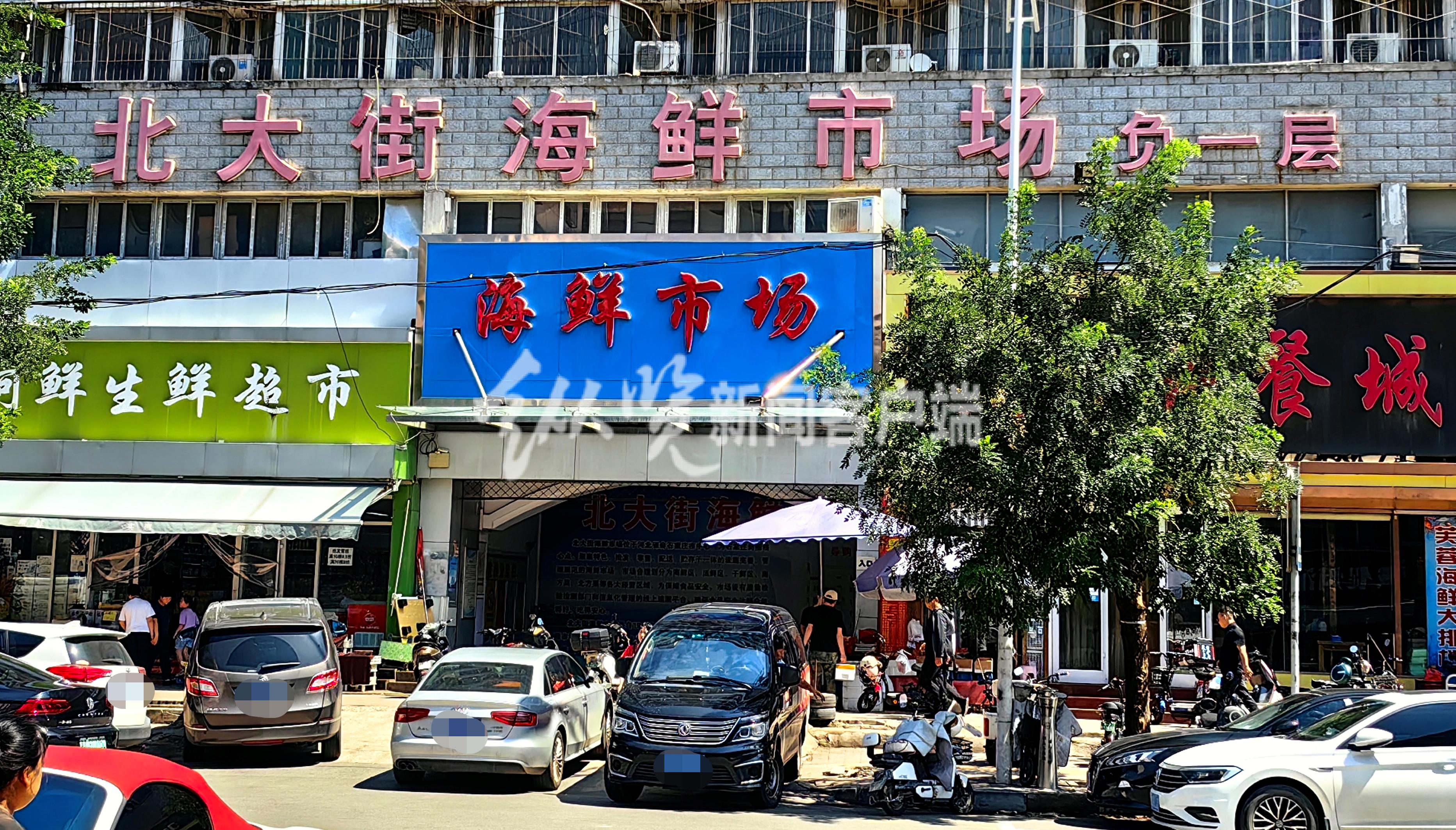 暗访海鲜市场完整版,探访海鲜市场