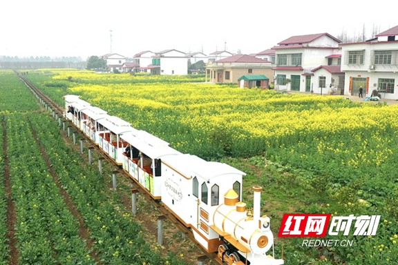 乡愁赋,乡愁文化赋能乡村振兴