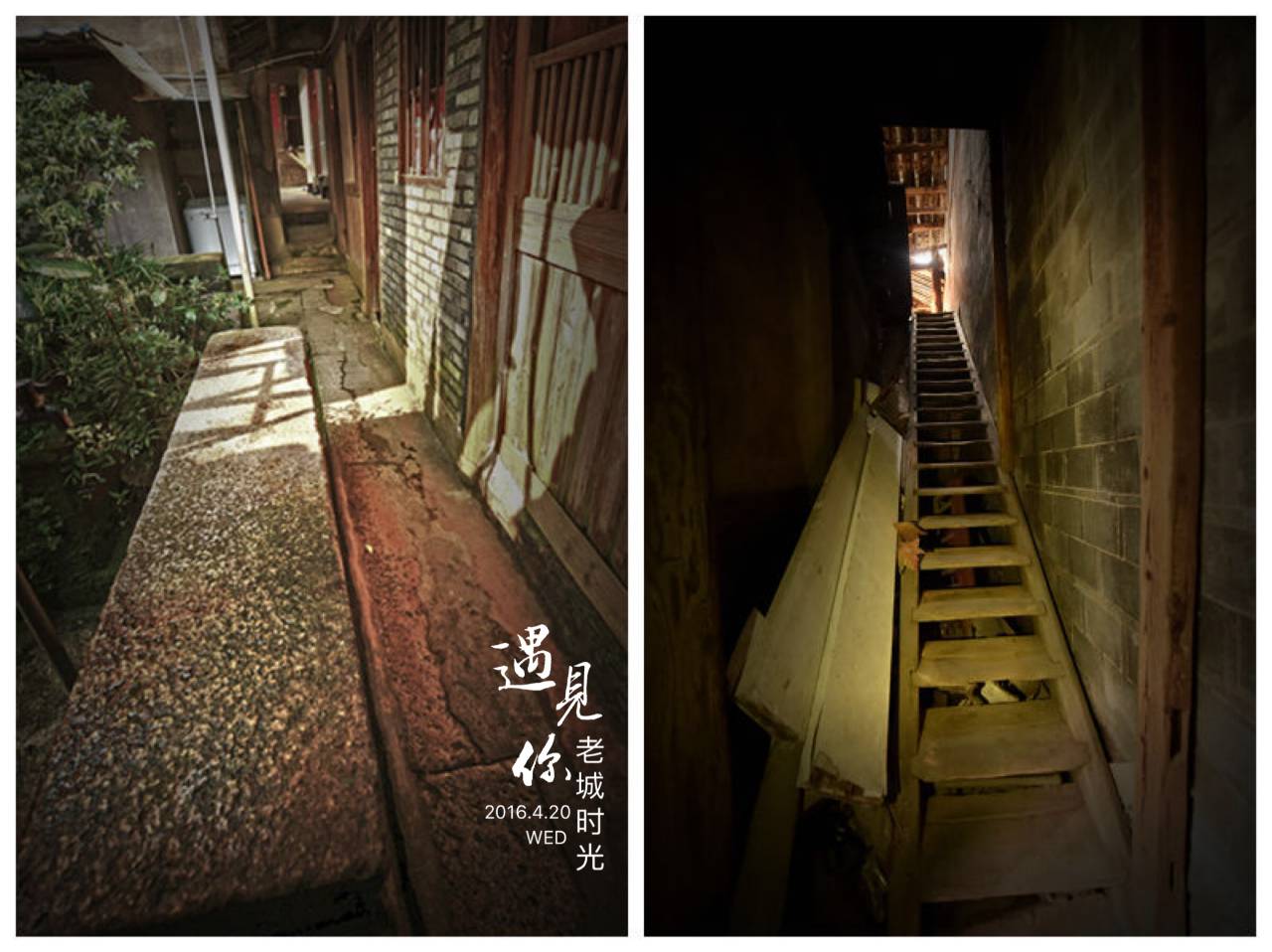 闽东之光福安,闽东之光全部视频