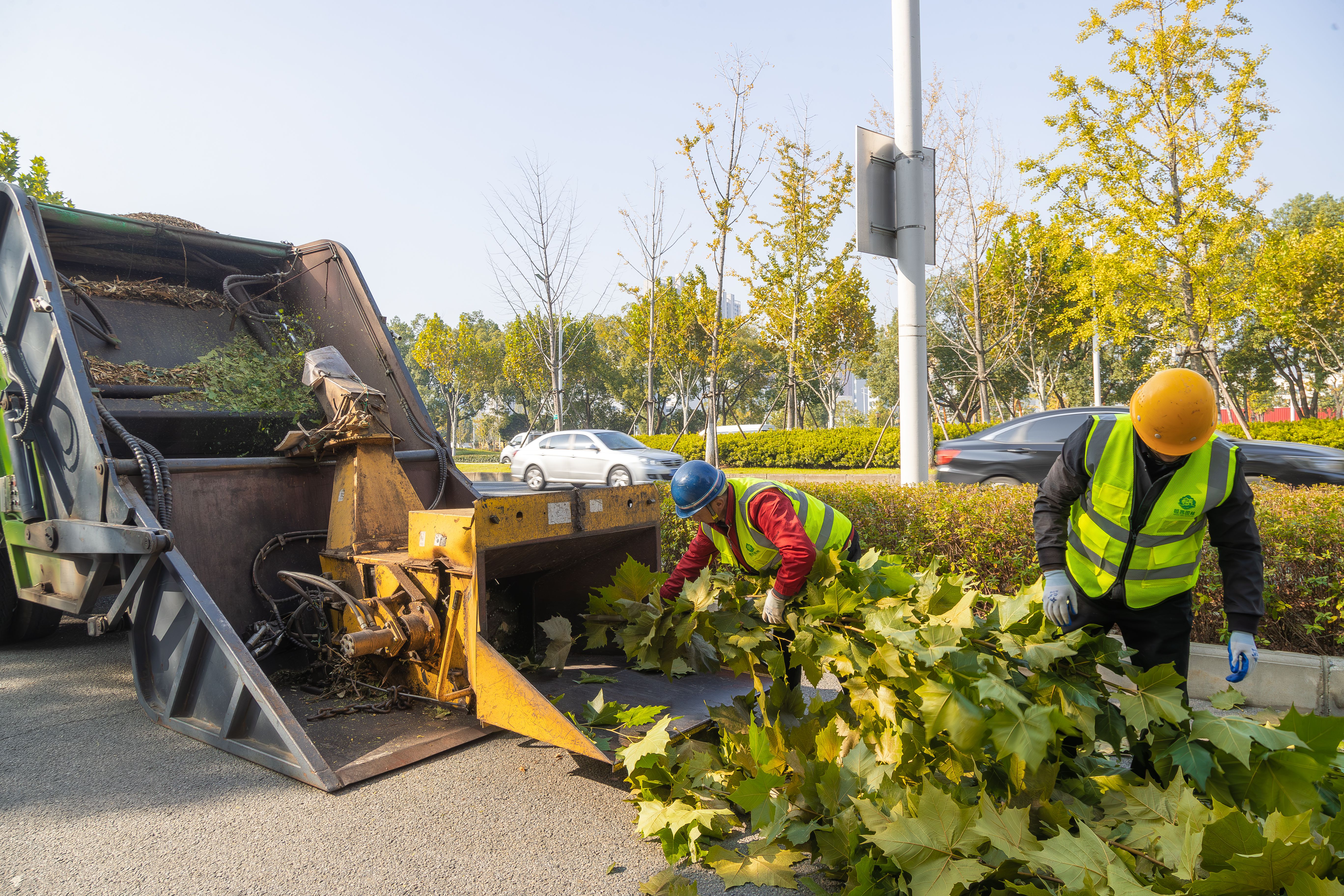 东西湖的园林“Tony”剪出好“心”情