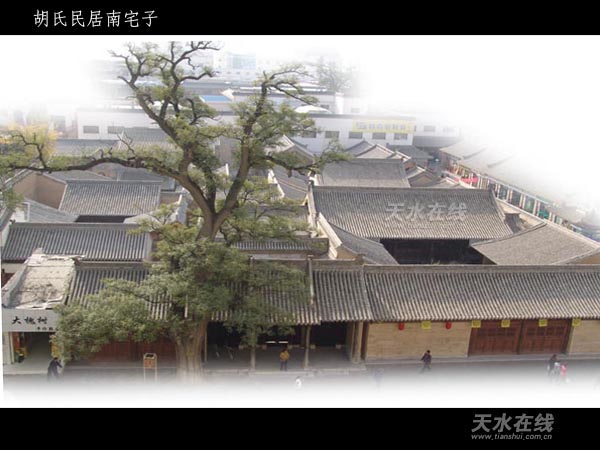 陇上第一豪宅,陇上第一村简介