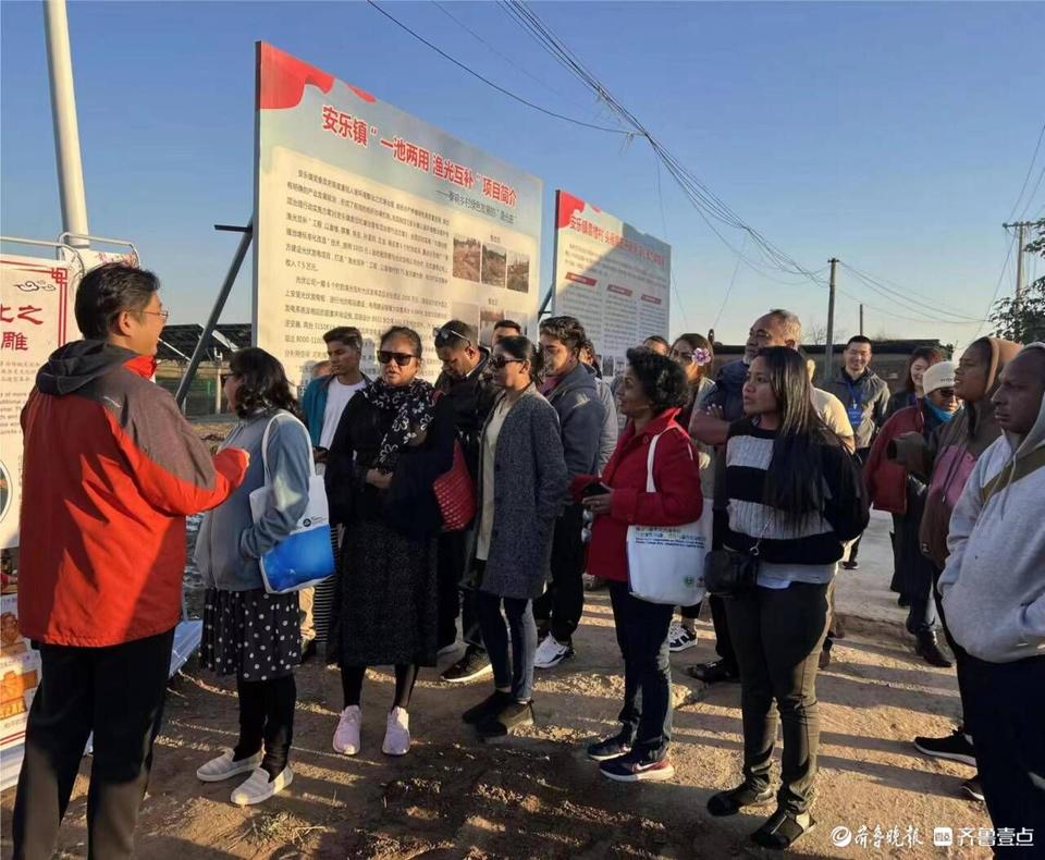 废弃坑塘变良田视频,废旧坑塘改造养鱼违法吗