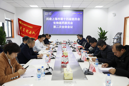 民建市委会,民建市委会召开委员扩大会议