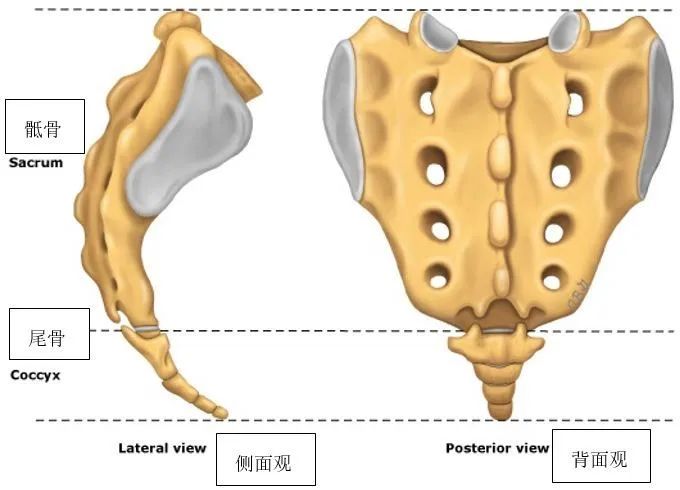 30岁男子突发疾病不慎摔倒在地,94岁老人不慎摔倒股骨头骨折