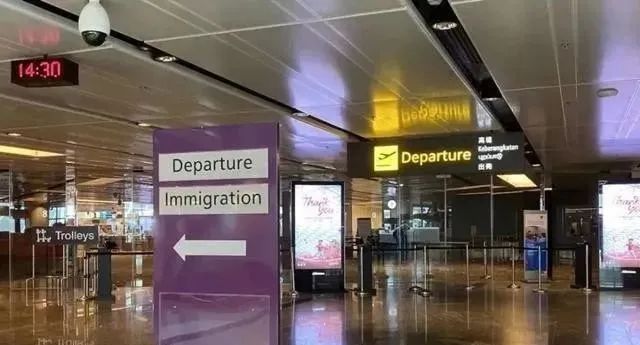 有新加坡签证还要填入境卡吗,入境新加坡签证材料清单