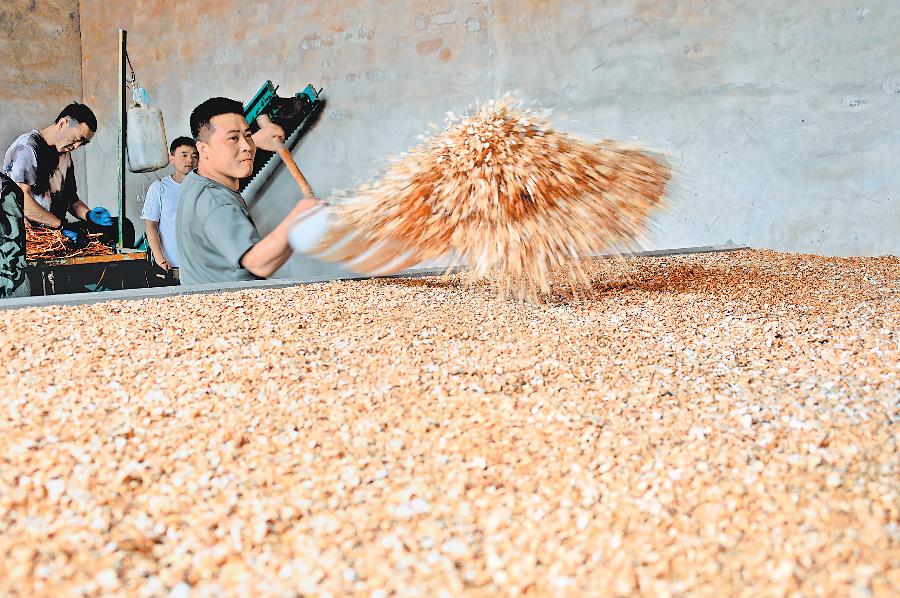 千年古郡，唱响时代新声——陇西县域经济高质量发展观察