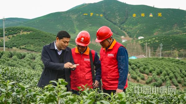 金鸡笼养殖农场,宜良县金鸡笼村新闻