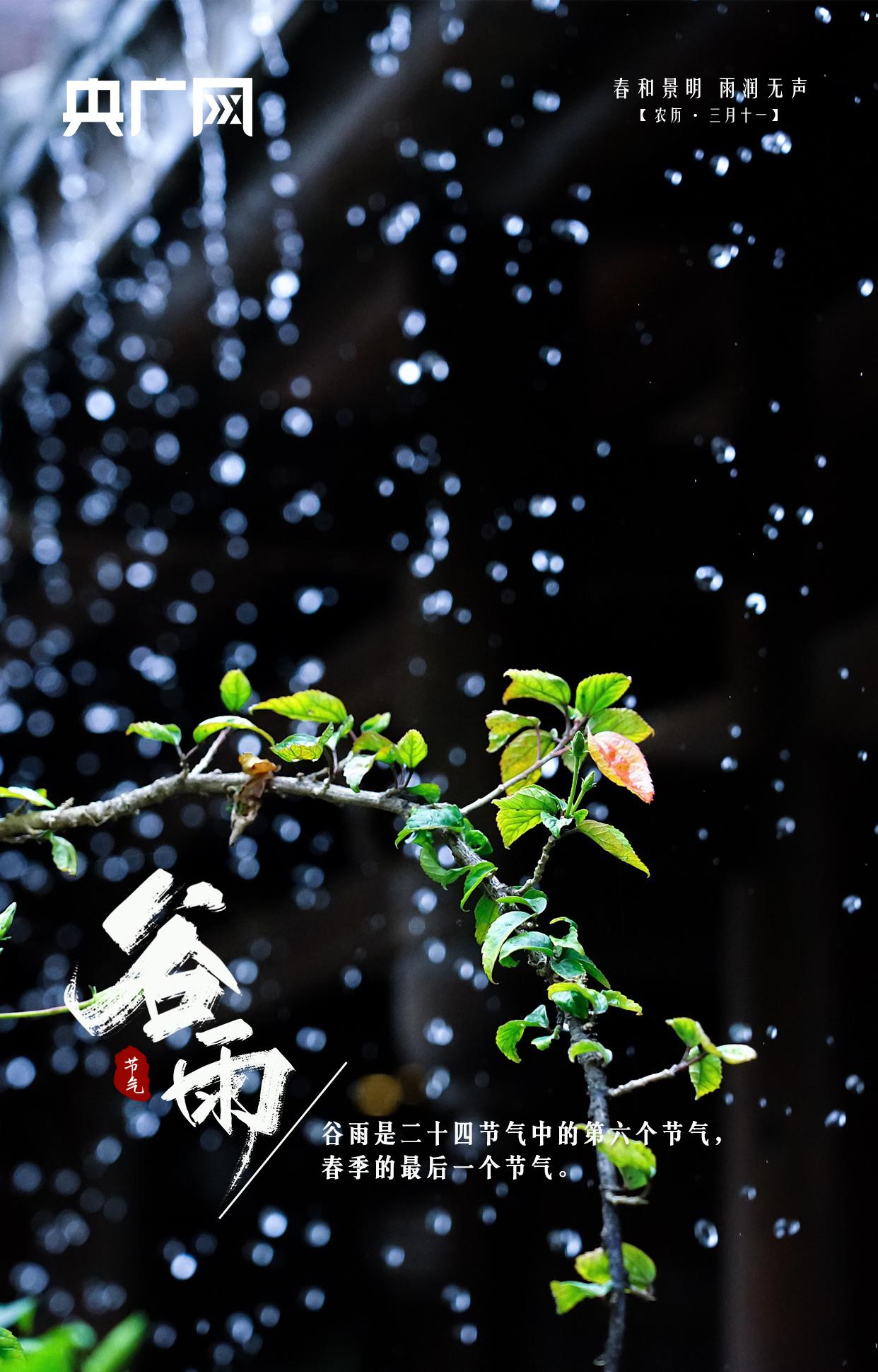 谷雨暮春,谷雨谷雨