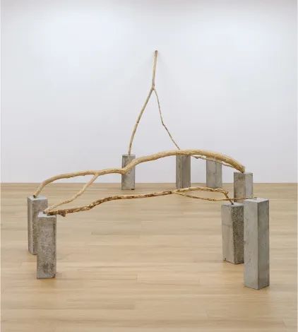 上海双年展宇宙电影展,第十四届上海双年展宇宙电影解析