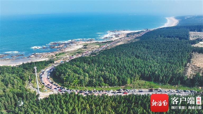 春节服务我在岗,新春我在岗