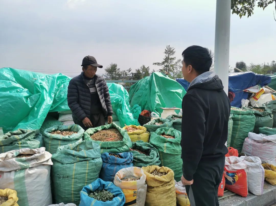 大理三月街药材,大理三月街药材市场