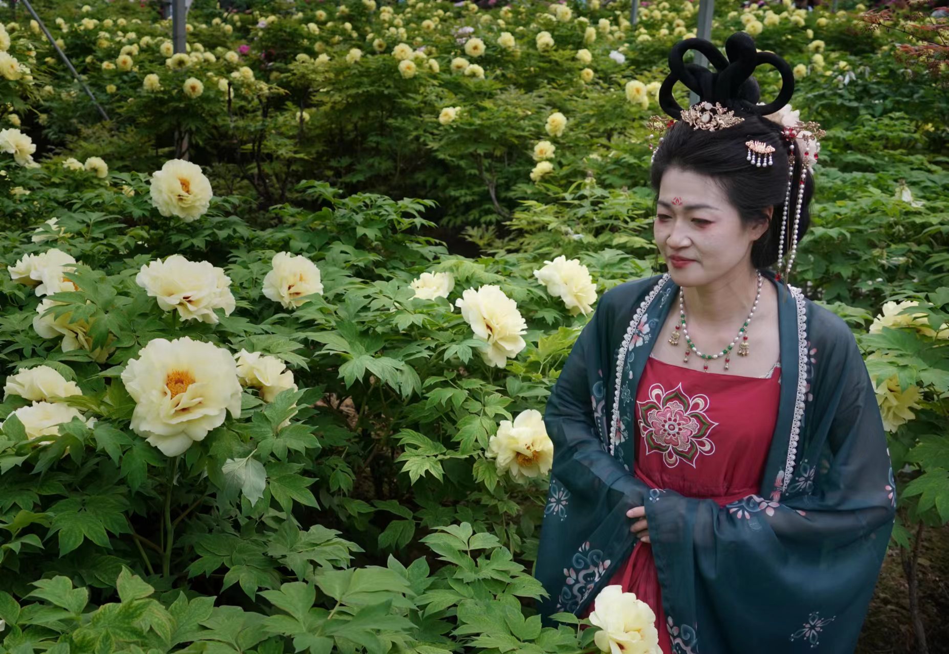 疑是洛川神女作书法,疑是洛川神女作的解释