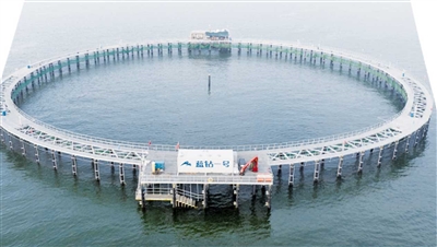 青岛海洋渔业发展方案,全面抓好海水养殖业工作