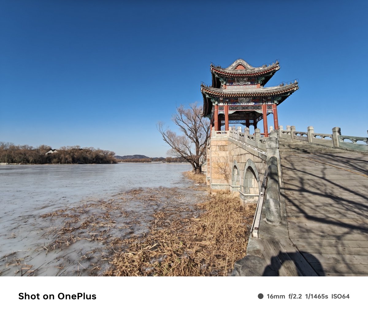 oneplus一加ace3,一加ace3