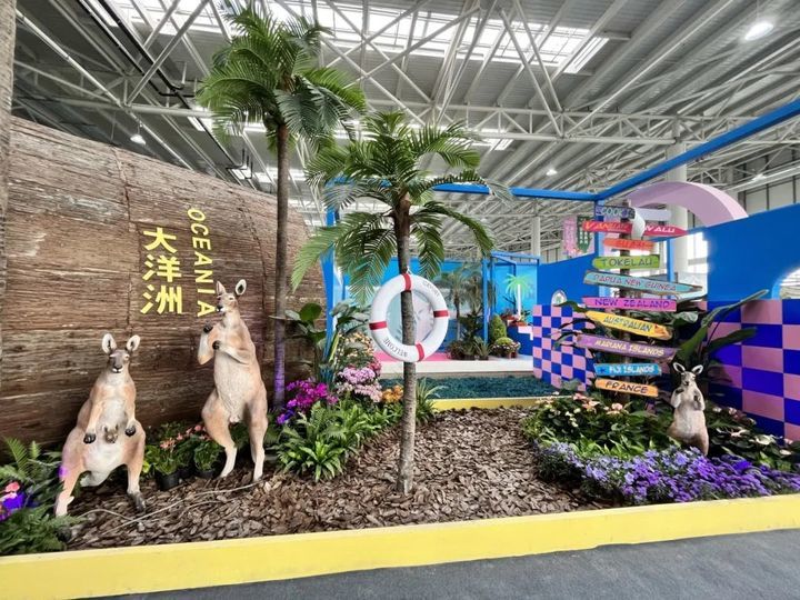 游花博泡温泉打卡,冬天商河温泉一日游