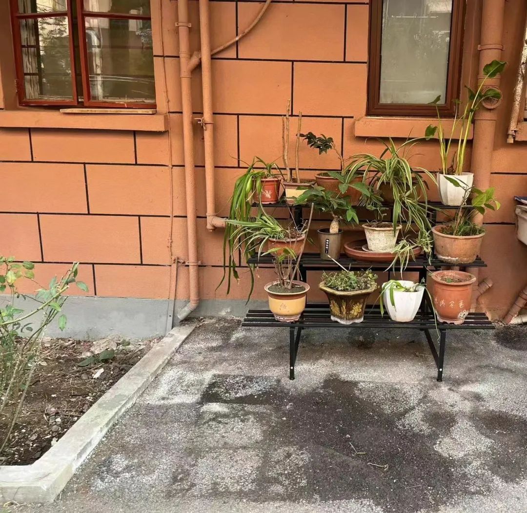 侬“豁翎子”我来“接”，“走四百”让社区建设迈大步