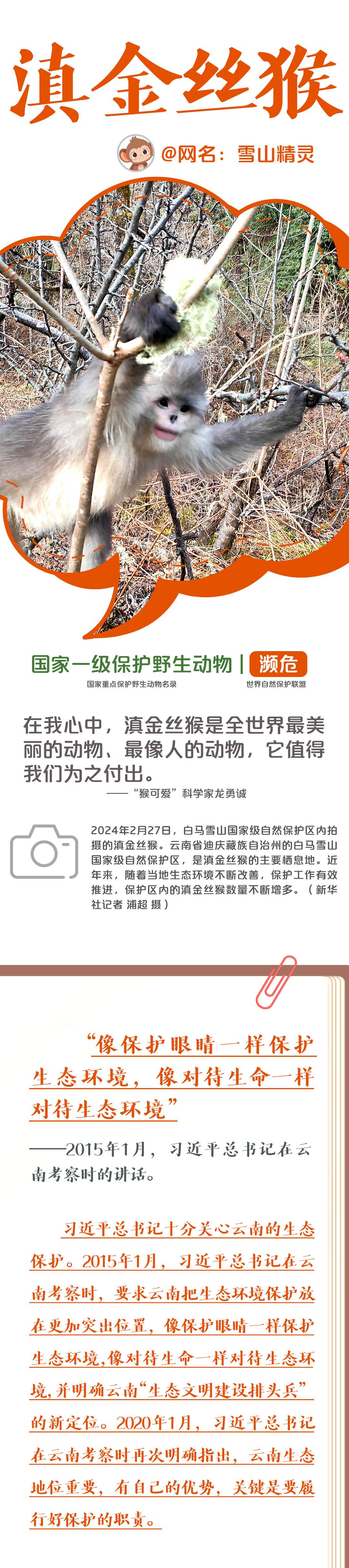 大熊猫的朋友圈,大熊猫朋友圈