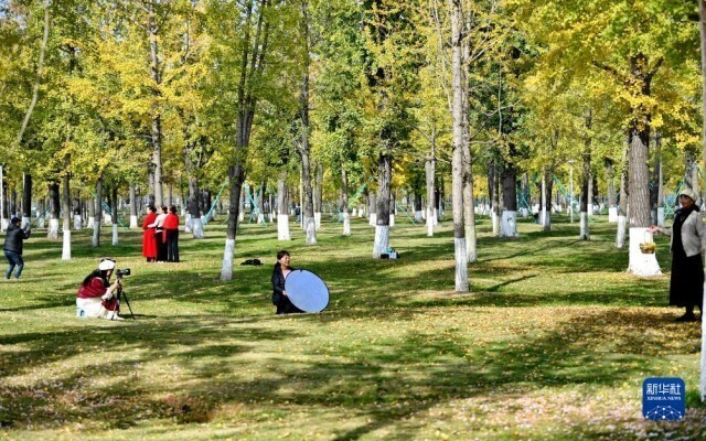 冬景迷人,冬景如画